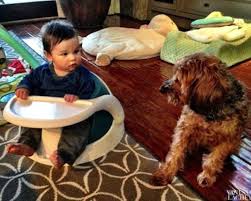 Baby Vs Dog Stare Down My Money Is On The Kid Baby Cam Nick And Vanessa Doggy