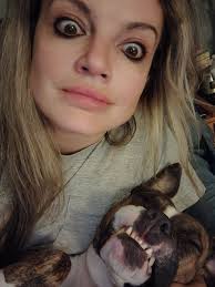 Amstaffs or Pitties with underbite?