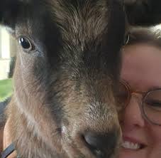 When are the fireworks in Montgomery this year?