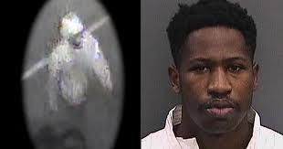 Co-workers joked Tampa serial slaying suspect was "the killer" before  arrest