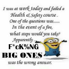Health Safety No No Fun Quotes Funny Funny Minion Quotes Jokes Quotes