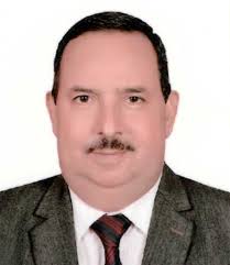 Abdelmohaimen Moustafa Mohamed Saleh