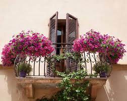 small balcony decoration with blooming flowers plants hanging living room