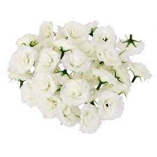 Tyeerdec artificial orchids flowers, 10 pcs silk fake orchids flowers in bulk orquideas flowers artificial for indoor outdoor wedding home office ling's moment artificial flowers 50pcs real looking white fake roses w/stem for diy wedding bouquets centerpieces bridal shower party. 50pcs Artificial Flowers Silk Carnation Heads Bulk Wedding Party Decor 7 Colors Silk Carnation Heads Silk Carnationsflower Silk Aliexpress