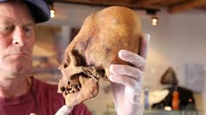 The Story Of Elongated Skulls And The Denied History Of Ancient People: An  Interview With Mark Laplume