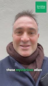 In the latest episode of Rewilding the World I talk with Angus Garbutt,  world expert