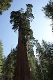 Image result