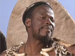 O 1994 ile 2004 yılları arasında güney afrika i̇çişleri bakanı idi. Chief Mangosuthu Buthelezi