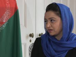 Taliban 'must accept the Afghanistan of 2019', says Afghan ambassador to US 