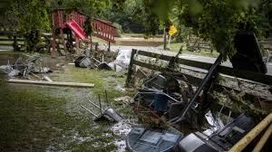 Waverly, tn news reports and accidents. Vkpg7djxz0umpm