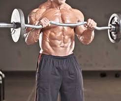 10 best curl bar exercises to build