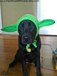 This Item Is Unavailable Etsy Dog Hat Pet Costumes Dog Costume