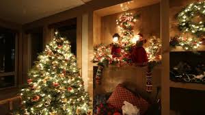 In the evening temperatures shouldn't regularly. Move Over Poinsettia Christmas Cactus Is A Popular Holiday Plant To Gift