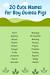 Unique Cute Guinea Pig Names