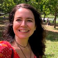 PDF) Misiones Jesuíticas en el Amazonas Brasileño: Arte, Arqueología y  Adaptaciones