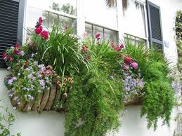 Blumen Arrangement Im Blumenkasten Uppige Idee Mit Blumen Und Grasern Balkon Blumen Fensterkasten Balkonkasten Bepflanzen