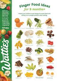 Finger Food Ideas For 9 Months Healthy Baby Food Baby Food Guide Baby Food Recipes