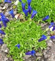 Places near botanischer garten altenburg. Altenburger Botanischer Erlebnisgarten Altenburg 2020 All You Need To Know Before You Go With Photos Tripadvisor
