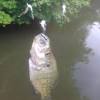 The town of crowder has about 300 residents, but that easily doubles daily when the crappie are biting. 1