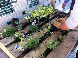 Certains à monter soimême, d'autres livrés préplantés, tous sont à la fois. Pas A Pas Comment Se Creer Un Mur Vegetal Elle Decoration