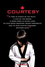 Image Result For Tenets Of Taekwondo Poster Martial Arts Training Martial Arts Quotes Martial Arts
