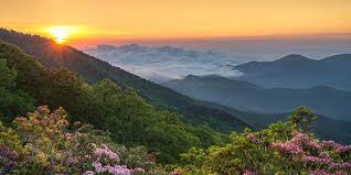 See 1,852 traveller reviews, 1,450 photos, and cheap rates for jumeirah beach hotel, ranked #212 of 753 hotels in dubai and rated 4.5 of 5 at jumeirah beach road umm suqeim, dubai 11416 united arab emirates. Hotel Reviews Hotel Deals Hotels Near Me Ihg