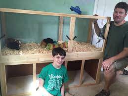 You also can experience several linked choices listed here!. Build A Guinea Pig Cage With Easy Cleaning Projects With Kids 4 Steps Instructables