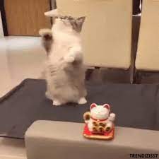 Waving Cat Lucky Cat Gif Wavingcat Luckycat Funnycat Discover Share Gifs Lucky Cat Cat Gif Money Cat