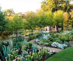 Magnificent Adelaide Garden Grown From Recycled Materials In 2020 Garden Landscape Design Australian Native Garden Australian Garden