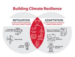 Ess Topic 7 3 Climate Change Mitigation And Adaptation Amazing World Of Science With Mr Green