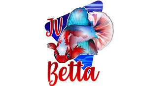 The betta fish is one of the most popular fish in the us. Arizona News Today Exotic Betta Fish Are Now Available In The Usa