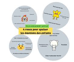 4 Roues Emotions Pour Apaiser La Peur La Colere La Tristesse Et Augmenter La Joie Emotions Colere La Tristesse