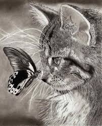 Born and raised in japan, jonathan has had the love for art from a very young age starting his simple drawings using the software paint and eventually moving on to sketchbook drawings and illustrations. Nature Animal Pencil Drawing Novocom Top