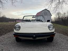 Image result for Avorio 1982 Alfa-Romeo