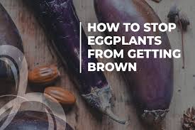 Clearly, the best place to store eggplant is on the vine. How To Store Eggplant Detailed Guide Beezzly