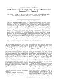 Banana aphids (pentalonia nigronervosa), cast skins, and ants. Pdf Aphid Transmission Of Banana Bunchy Top Virus To Bananas After Treatment With A Bananacide
