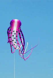 Free Shipping 23m Octopus Kite For Adults Kite Professional Kites Factroy  Soft Power Kites Nylon Wind Air Inflatable Ikite | Fruugo UK