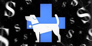 We did not find results for: My Dying Dog S Vet Bill Put Me In Debt It Could Happen To You Vox