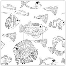 Exotische shell unter korallen stock vektor art und mehr. Muster Mit Dekorativen Korallen Und Meer Oder Aquarium Fisch Fototapete Fototapeten Aqualung Druckbare Begeisterung Myloview De