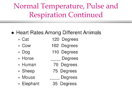 Respirations can vary and an overall average will be more accurate. Ppt Normal Temperature Pulse And Respiration Powerpoint Presentation Id 376952