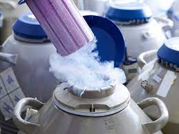 Single Women Are Paying Thousands To Freeze Their Eggs But At What Cost Reproduction The Guardian