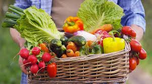 Les Paniers De Fruits Et Legumes Pourquoi Ca Vaut Le Coup Supplyshop