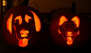 Halloween Pumpkin Carving Drawing Design Dog Deer Dragon Despicable Me Amazing Pumpkin Carving Pumpkin Carving Halloween Pumpkins Carvings