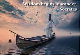 Amazing Wisdom Quote By Socrates Wisdom Begins In Wonder Quotespictures Com