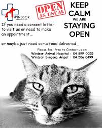 Visit windsor animal hospital in santa rosa, ca and save 25% on your vet bill with a pet plan by pet assure. Windsor Animal Hospital Penang Posts Facebook