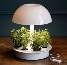 17 Weird And Awesome Registry Gifts You Ll Totally Fancy Grow Lamps Plant Lighting Dorm Plants