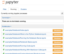 Jupyter Notebooks Python Productivity For Zynq Pynq V1 0