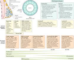 Metastatic breast cancer means that breast cancer has spread to other parts of the body. Breast Cancer Nature Reviews Disease Primers