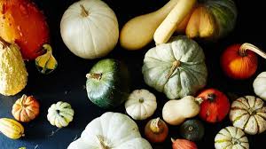 Where the first thanksgiving was celebrated by the pilgrims. First Thanksgiving Food Guide What Was Served At The First Thanksgiving