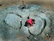 Fossils of this dinosaur were first described in 1976, but it was only named nigersaurus taqueti in 1999, after further and more complete remains were found and described. Nigersaurus Wikipedia